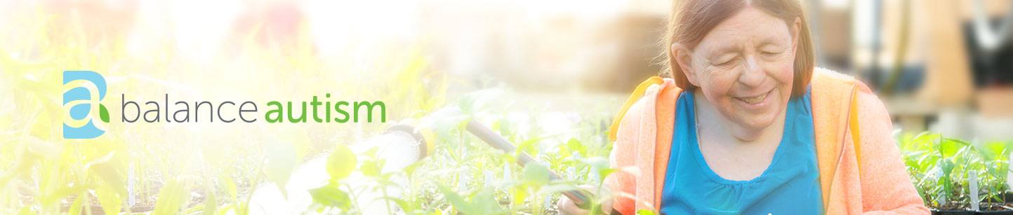 balance autism header